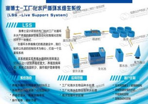 水产工厂化循环水养殖系统与计算机系统服务融合 迈向智慧养殖新时代